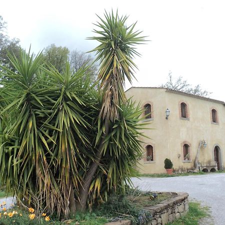 Agriturismo Il Daino Villa San Piero Patti Kültér fotó