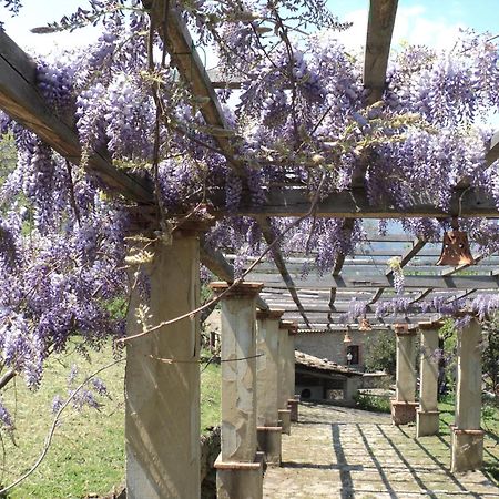 Agriturismo Il Daino Villa San Piero Patti Kültér fotó