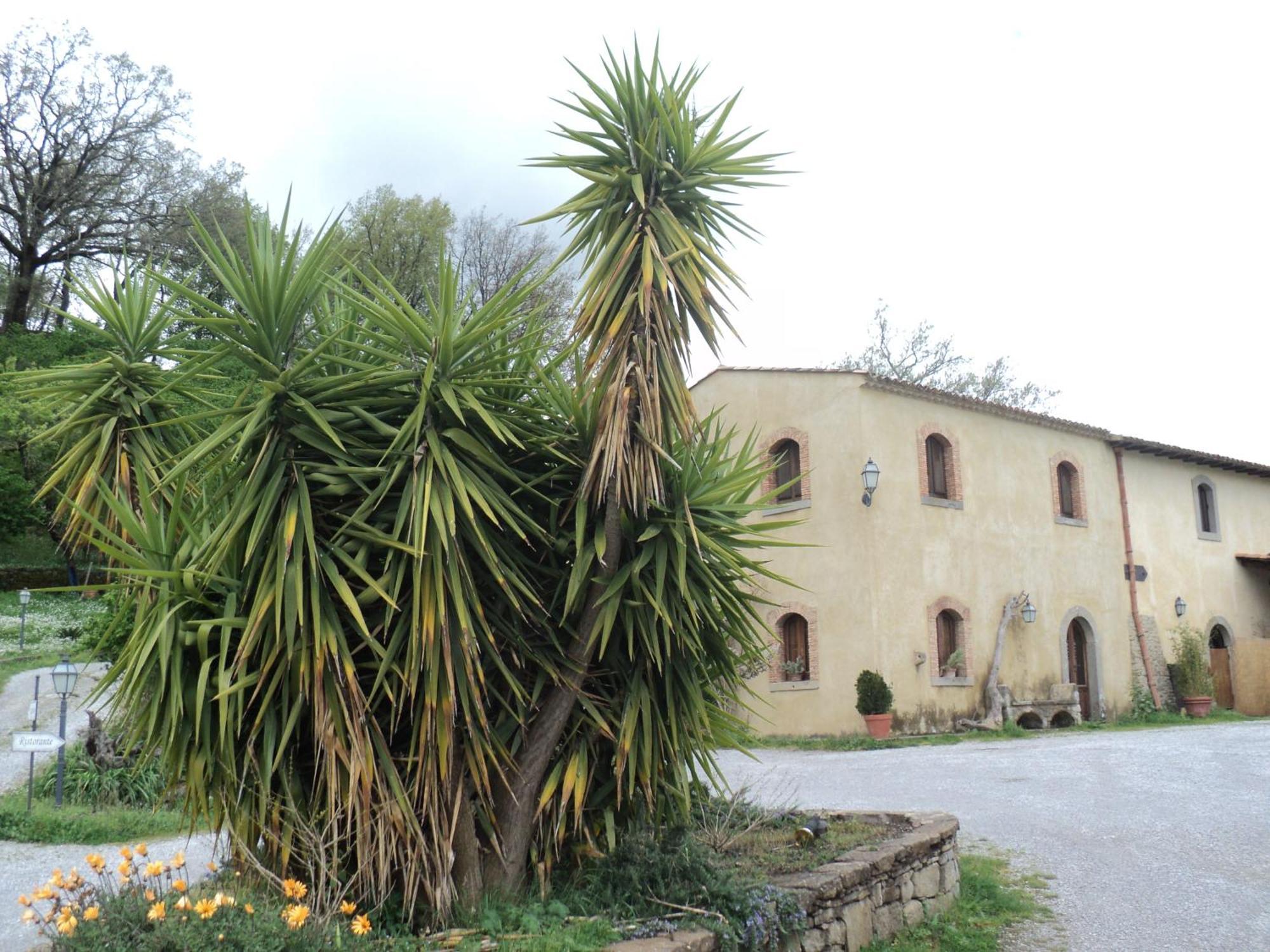 Agriturismo Il Daino Villa San Piero Patti Kültér fotó