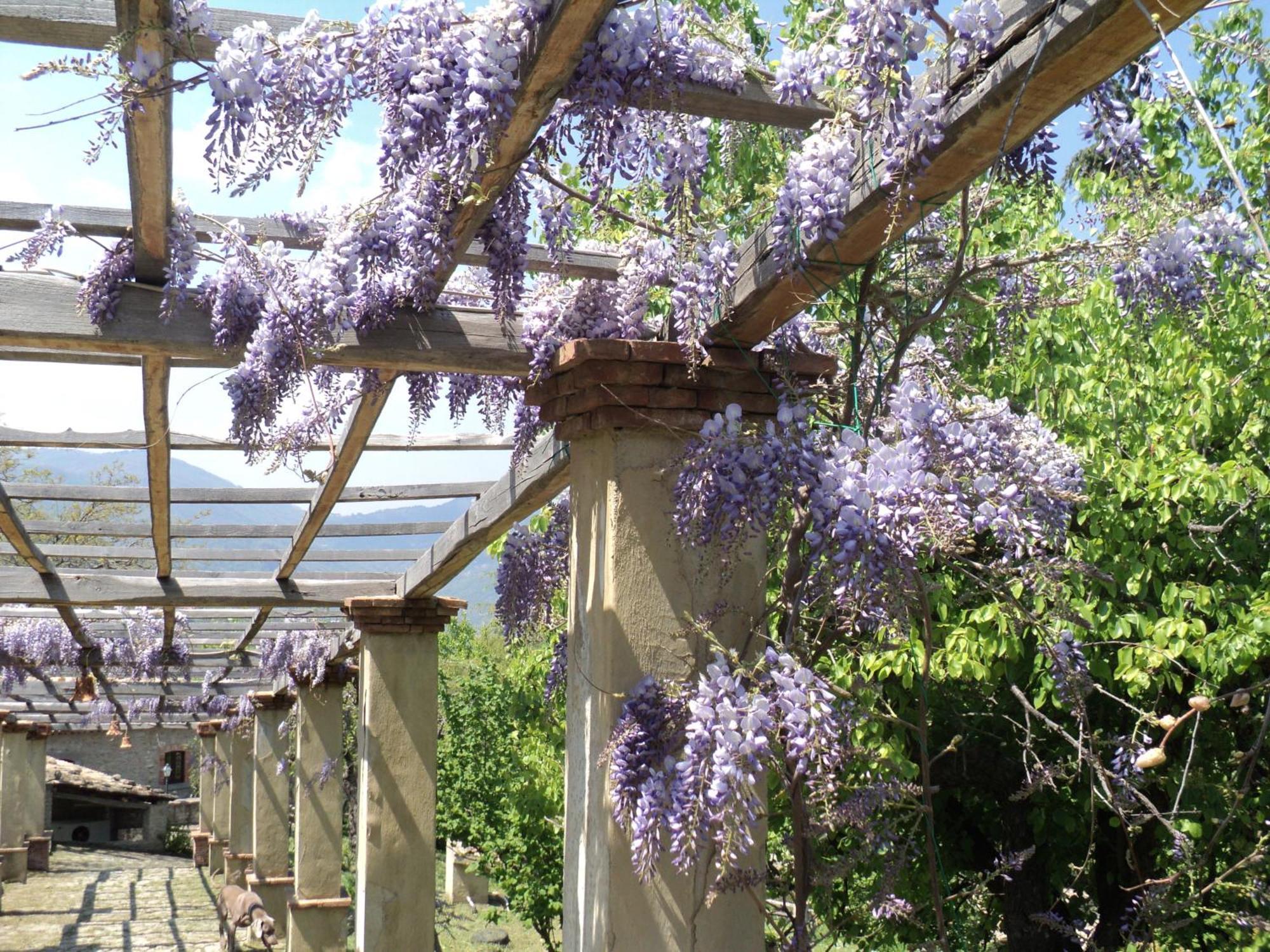 Agriturismo Il Daino Villa San Piero Patti Kültér fotó