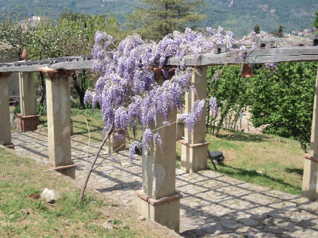 Agriturismo Il Daino Villa San Piero Patti Kültér fotó